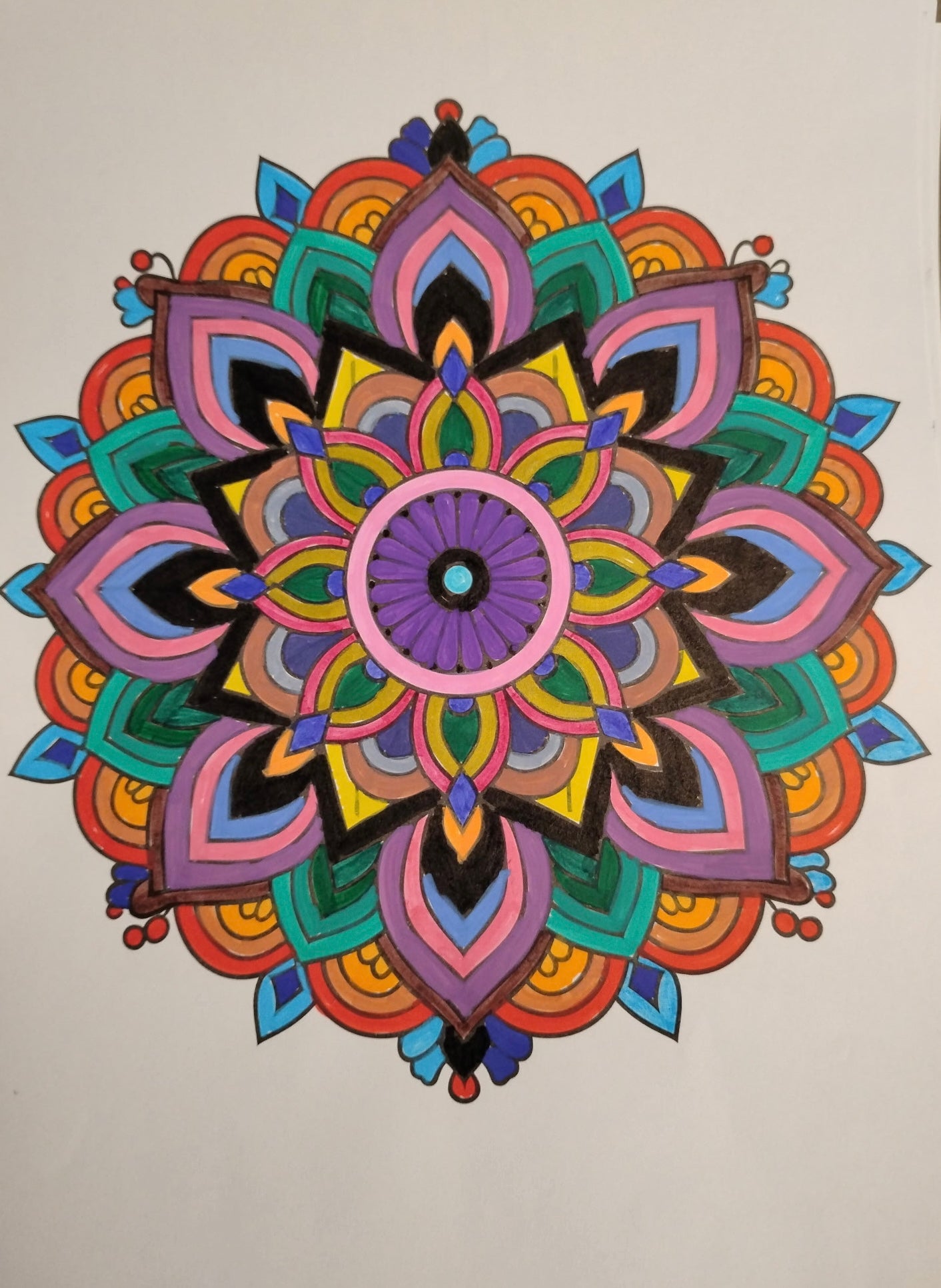 The Mandala 20