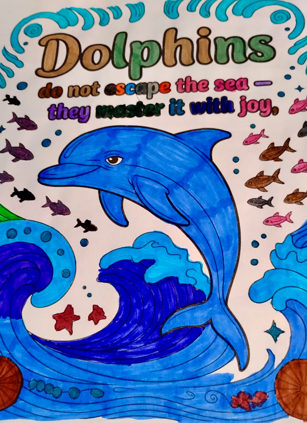 The Dolphin 2