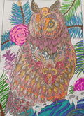 The Owl 3