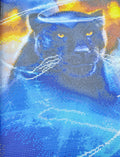 The Black Panther