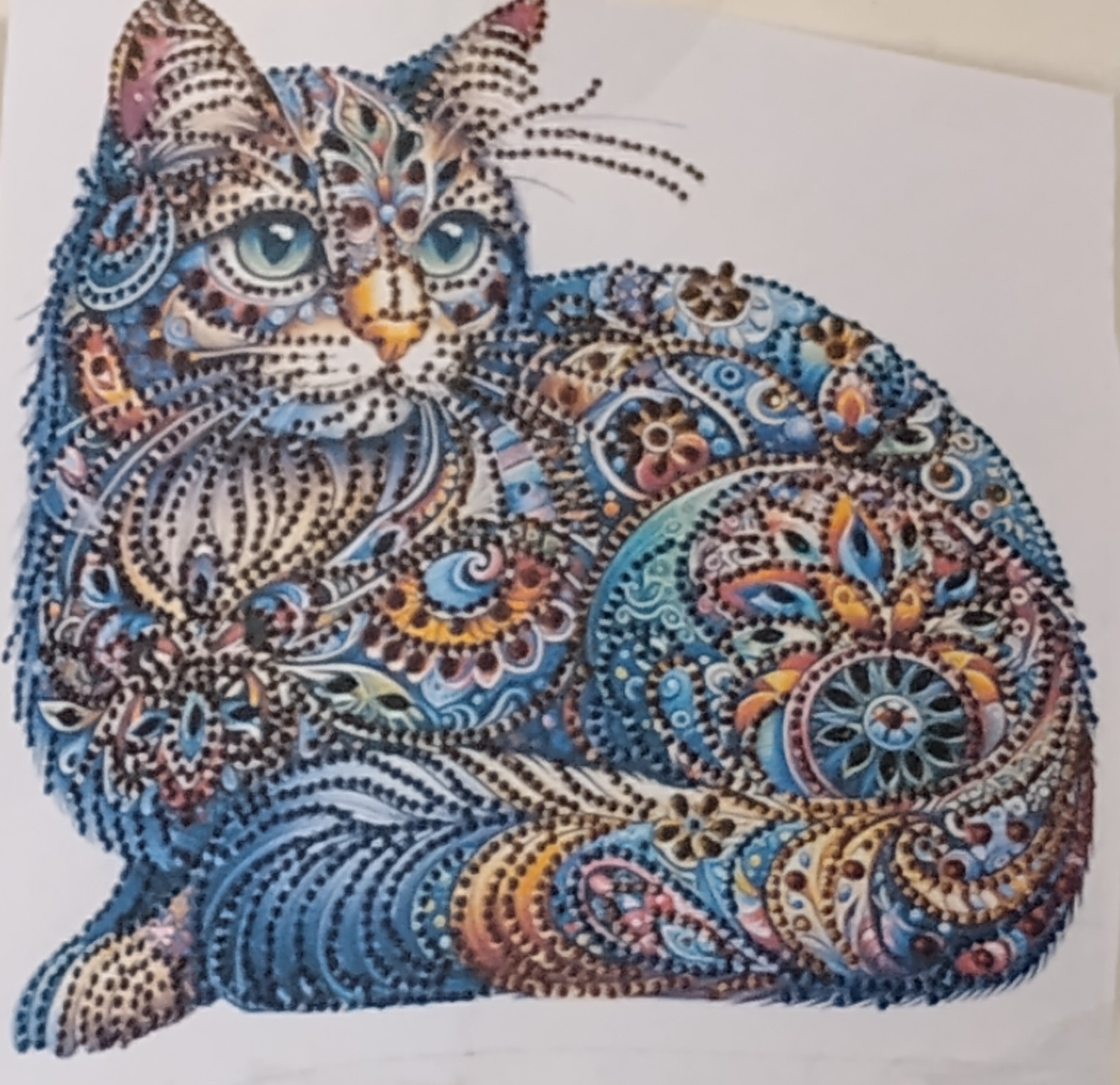 The Cat