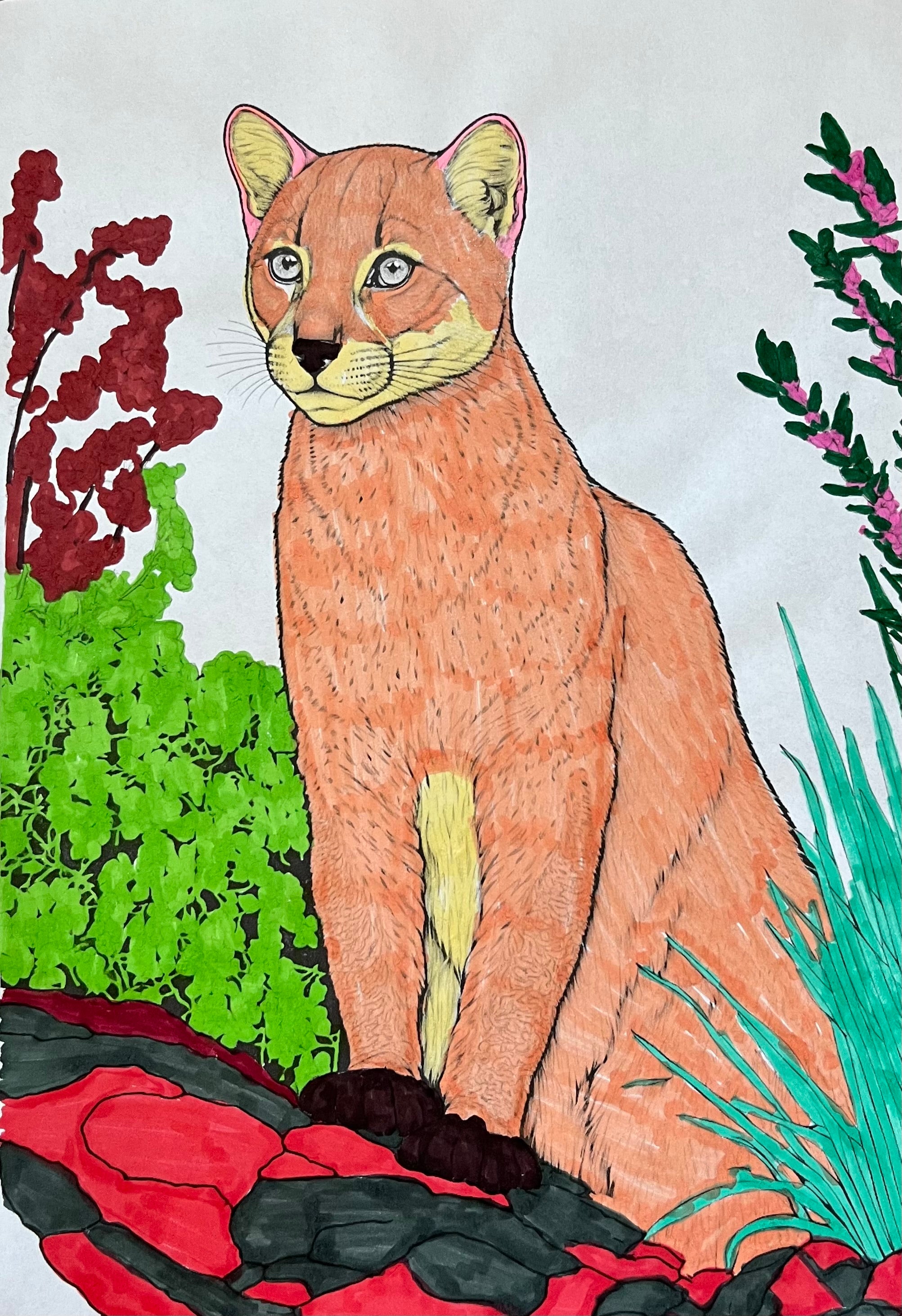 The Cougar