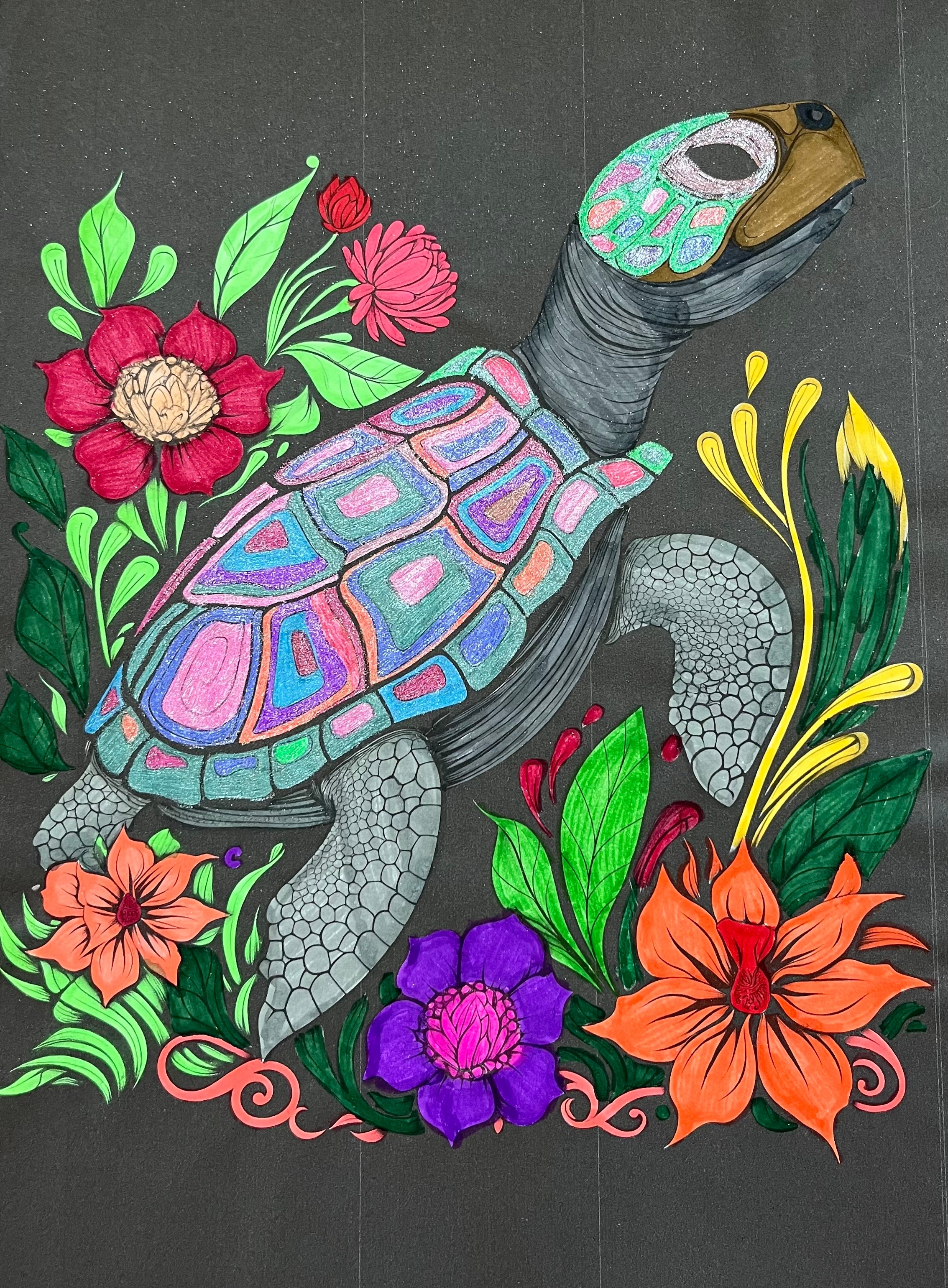 The Turtle 3