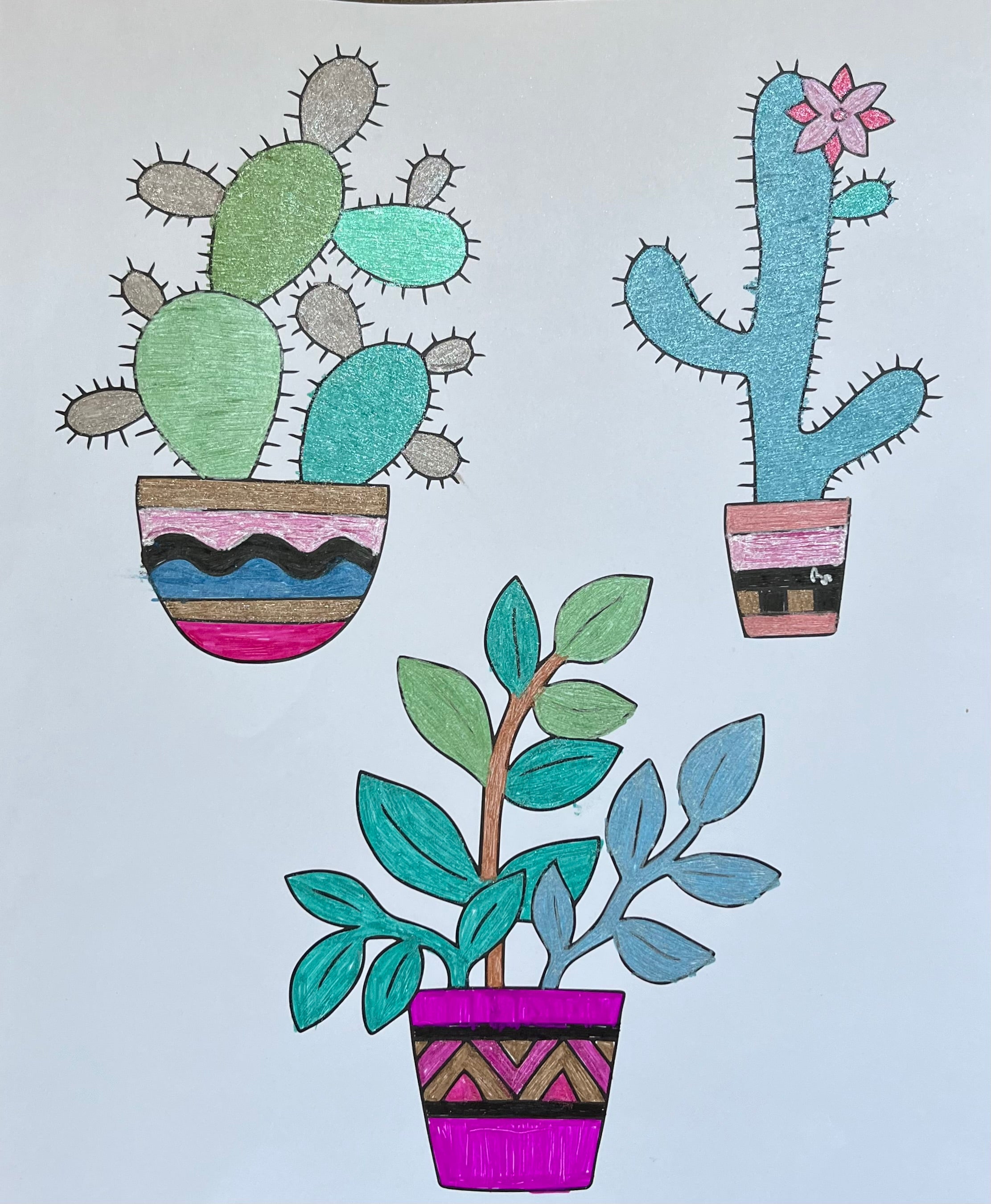 The Plants