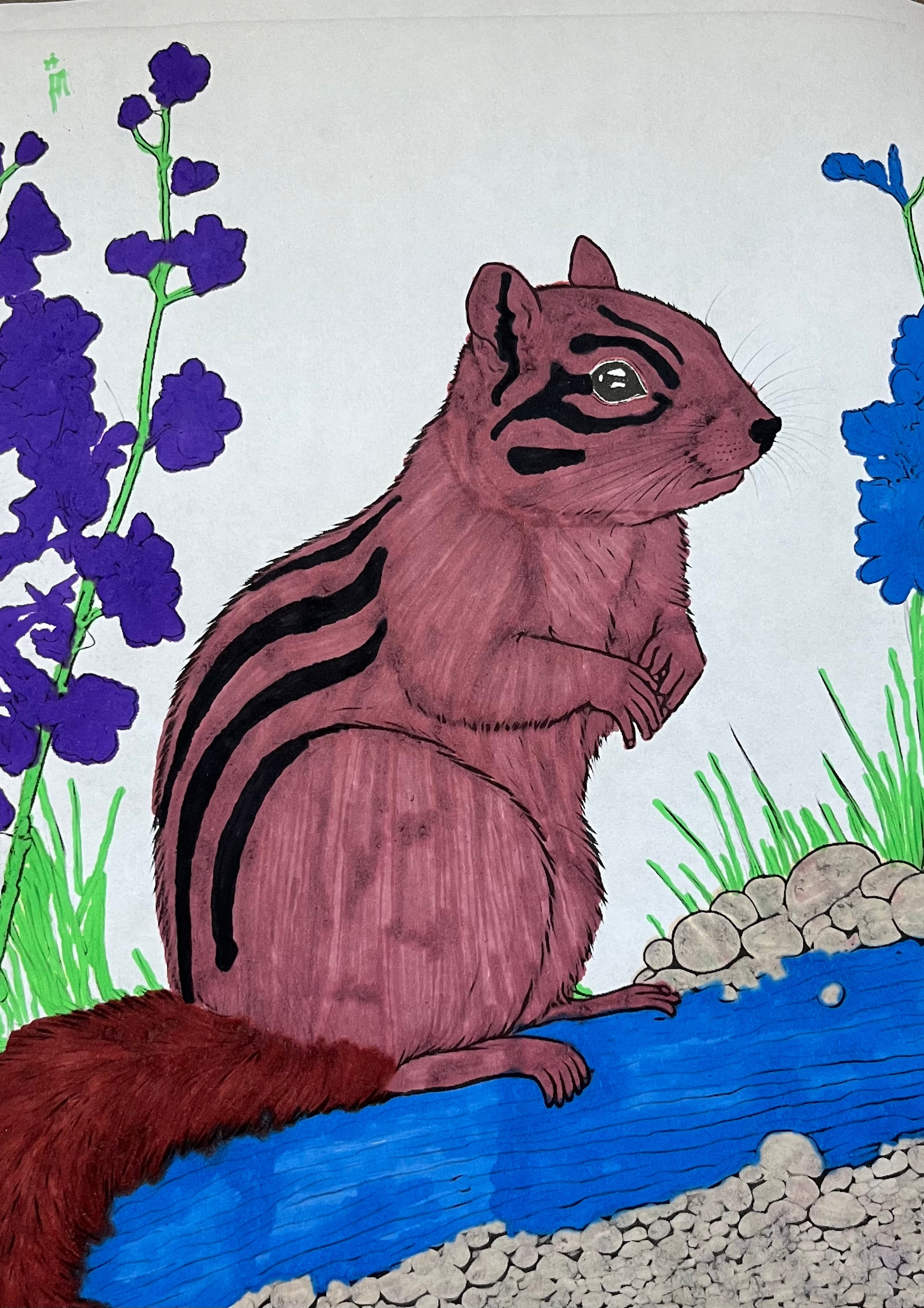 The Squirrel