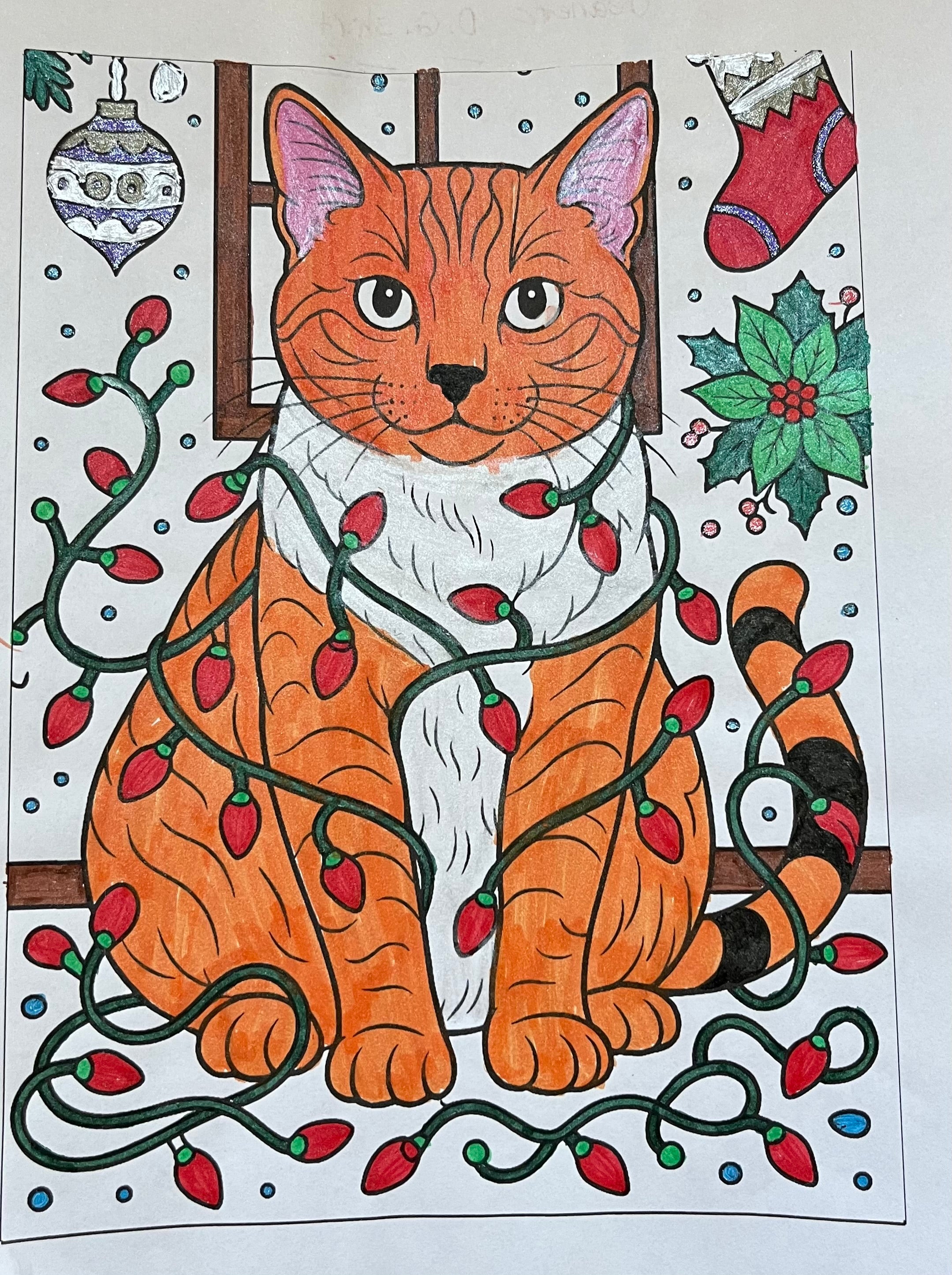 The Cat